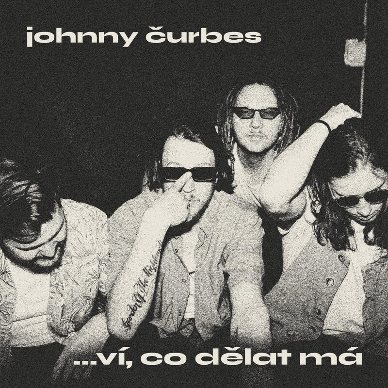 ví, co dělat má — album cover